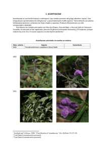 1. ACANTHACEAE