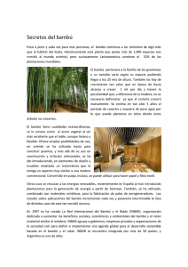 Secretos del bambú