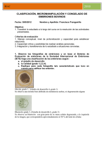 clasificación, micromanipulación y congelado de embriones