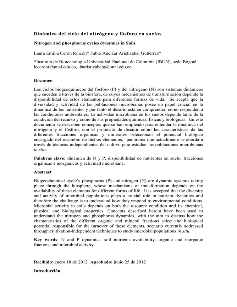 Dinámica del ciclo del nitrógeno y fósforo en suelos