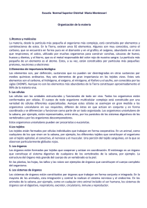 6. Los sistemas de órganos - Escuela Normal María Montessori