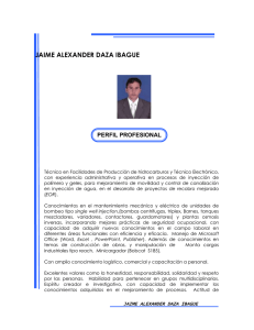 perfil profesional personales