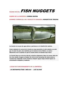 SANIDAD - fish nuggets