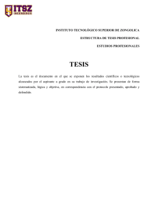 Estructura de Tesis Profesional (doc)
