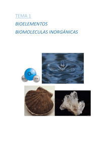 TEMA 1 bioelementos y biomoleculas inorganicas