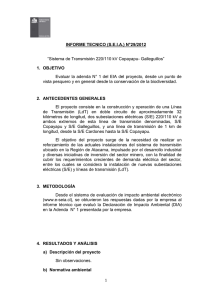 informe tecnico (seia) n°29/2012