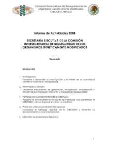 Informes de actividades de la Secretaría Ejecutiva - 2008