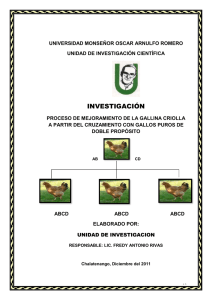 INVESTIGACION CRUZAMIENTO DE LA GALLINA CRIOLLA