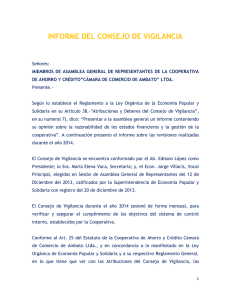 informe del consejo de vigilancia