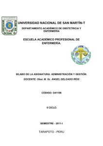 obst. angel delgado ríos. - Universidad Nacional de San Martín
