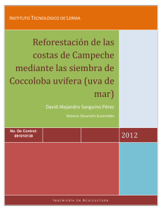 Reforestación de las costas de Campeche mediante las siembra de