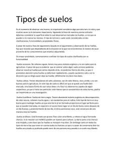 Tipos de suelos