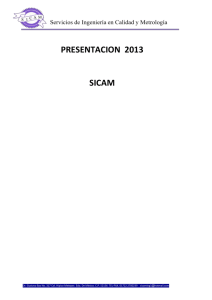 PRESENTACION  2013  SICAM