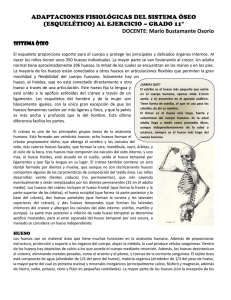 adaptaciones fisiológicas del sistema oseo al