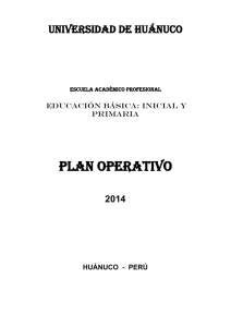 PLAN OPERATIVO UNIVERSIDAD DE HUÁNUCO  2014