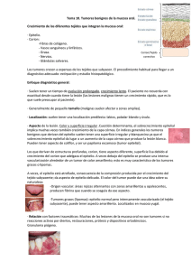 Tumores benignos de la mucosa oral. - Dental-Book