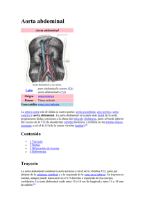 Aorta abdominal