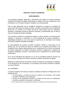 Resumen Ejecutivo Gaceta Ciudadana, junio 2010