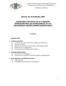 Informes de actividades de la Secretaría Ejecutiva - 2007