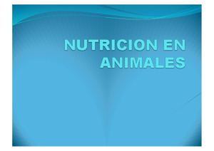 NUTRICION EN ANIMALES