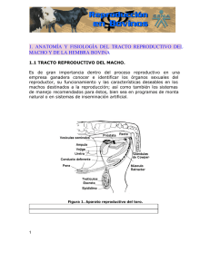 5. Anatomia_y_fisiologia.doc