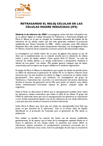 RETRASANDO EL RELOJ CELULAR DE LAS CELULAS MADRE INDUCIDAS (IPS)