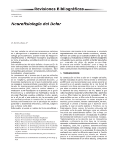 Neurofisiología del Dolor