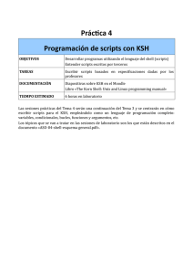 4 ProgramaciÃ³n de scripts.pdf