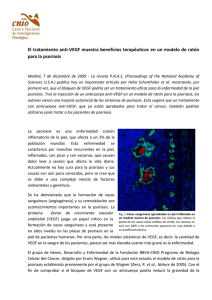 El tratamiento anti-VEGF muestra beneficios terapéuticos en un modelo de... para la psoriasis