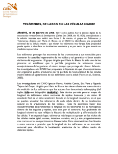 TELÓMEROS, DE LARGO EN LAS CÉLULAS MADRE Madrid