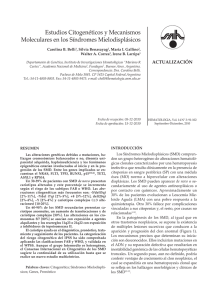 Estudios Citogenéticos y Mecanismos Moleculares en los Síndromes Mielodisplásicos ACTUALIZACIÓN Carolina B. Belli