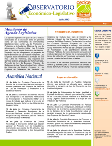 Monitoreo de Agenda Legislativa RESUMEN EJECUTIVO Julio 2013