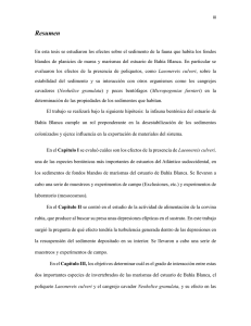 Tesis L. Molina.pdf
