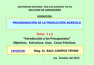 ProgramProducAgrícolaVIIISem 2013 1y2