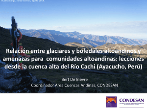 Relación entre glaciares y bofedales altoandinos y amenazas para comunidades altoandinas: lecciones desde la cuenca alta del Río Cachi (Ayacucho). Bert De Bievre, CONDESAN