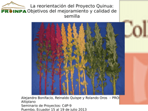 La reorientación del Proyecto Quinua: Objetivos del mejoramiento y calidad de semilla
