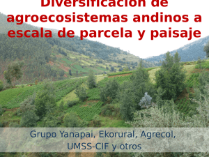 Diversificación de agroecosistemas andinos a escala de parcela y paisaje