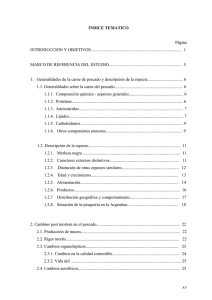 INDICE TEMATICO.pdf