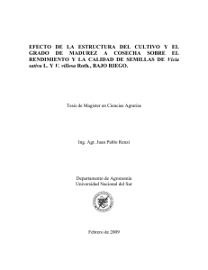 Tesis MSc Juan P Renzi.pdf