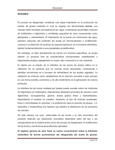 Gutierrez Ayesta Res.pdf