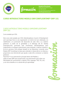 formación CURSO INTRODUCTORIO MODELO DIR®/DIRFLOORTIME® DIR® 101