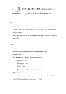 Protocol per la recollida i conservació de les mostres d’orina (català)