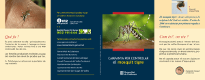 Tríptic campanya per controlar el mosquit tigre