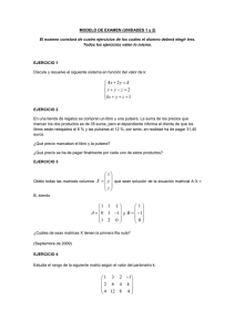 MODELO Examen Sistemas y Matrices 185125 111113 2505