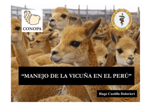 MANEJO-DE-LA-VICUNA-EN-EL-PERU-1.pdf