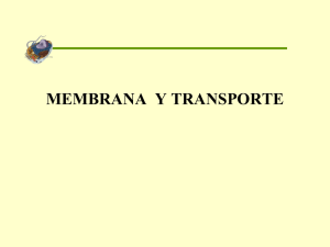 CLASE 2. MEMBRANA  Y TRANSPORTE