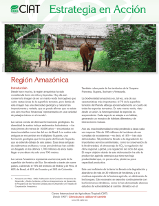 Estrategia en acción: Región Amazónica 