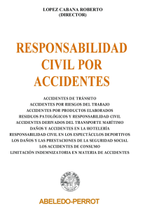 RESPONSABILIDAD CIVIL POR ACCIDENTES - ROBERTO LOPEZ CABANA