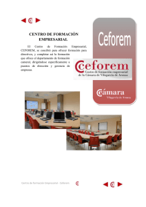 Centro de Formaci n Empresarial CEFOREM