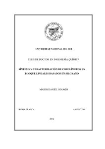 Ninago-mario-tesis.pdf